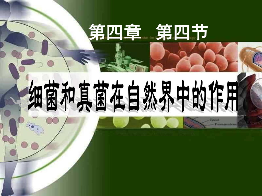 细菌真菌在自然界中的作用.ppt_第3页