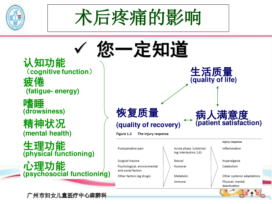 小儿术后镇痛个人体会-附病例分析(黄俊祥).ppt_第2页