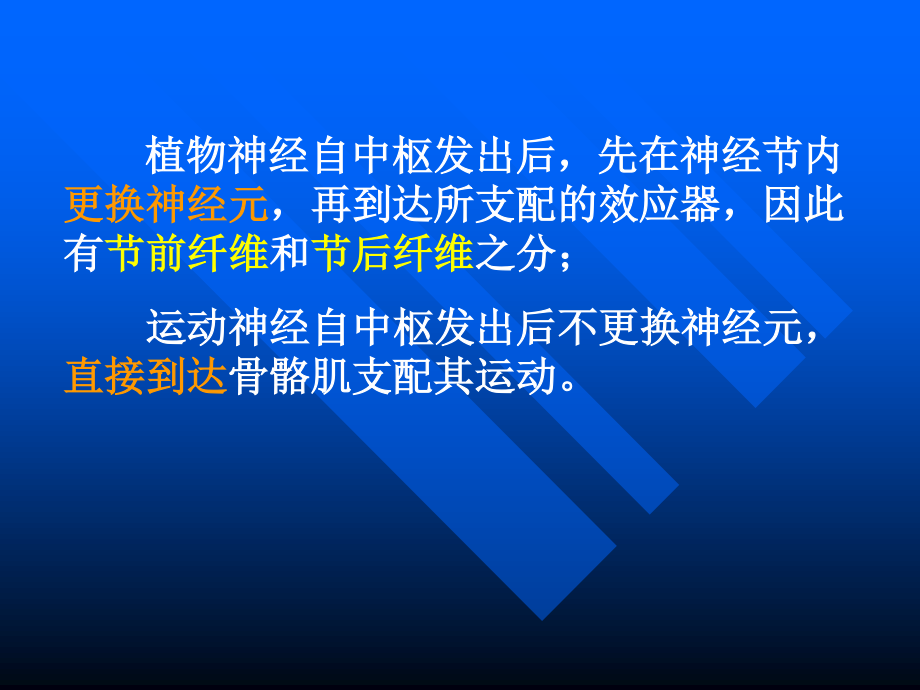 外周神经系统药理.ppt_第2页