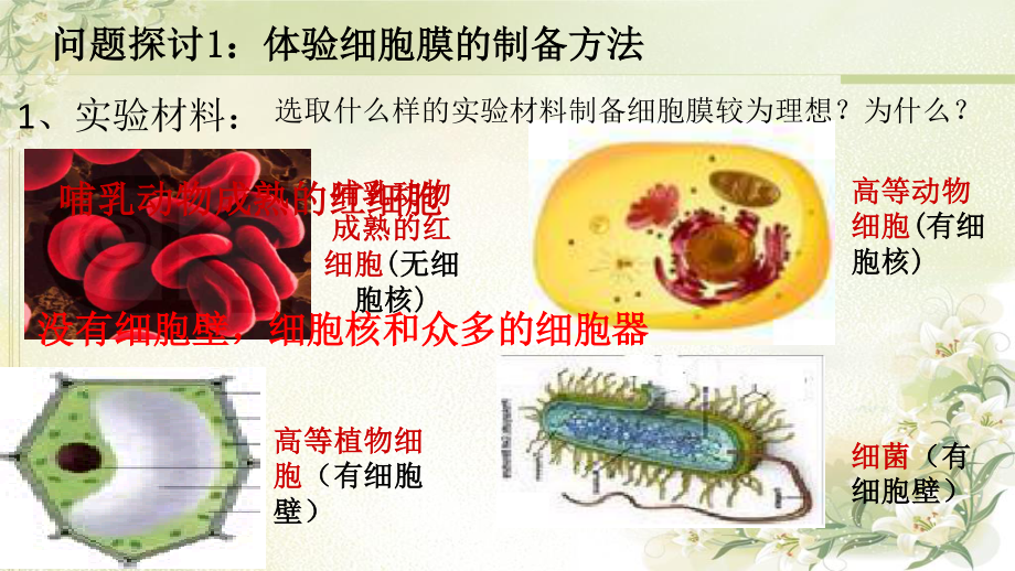 细胞膜-市级公开课.ppt_第3页