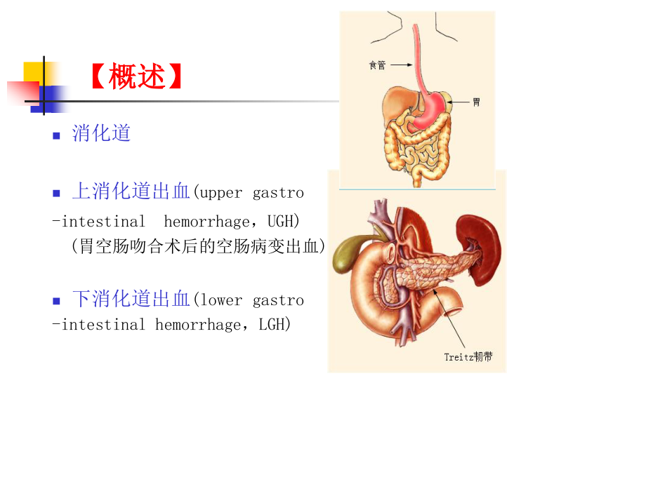 消化道出血进修班课程.ppt_第2页