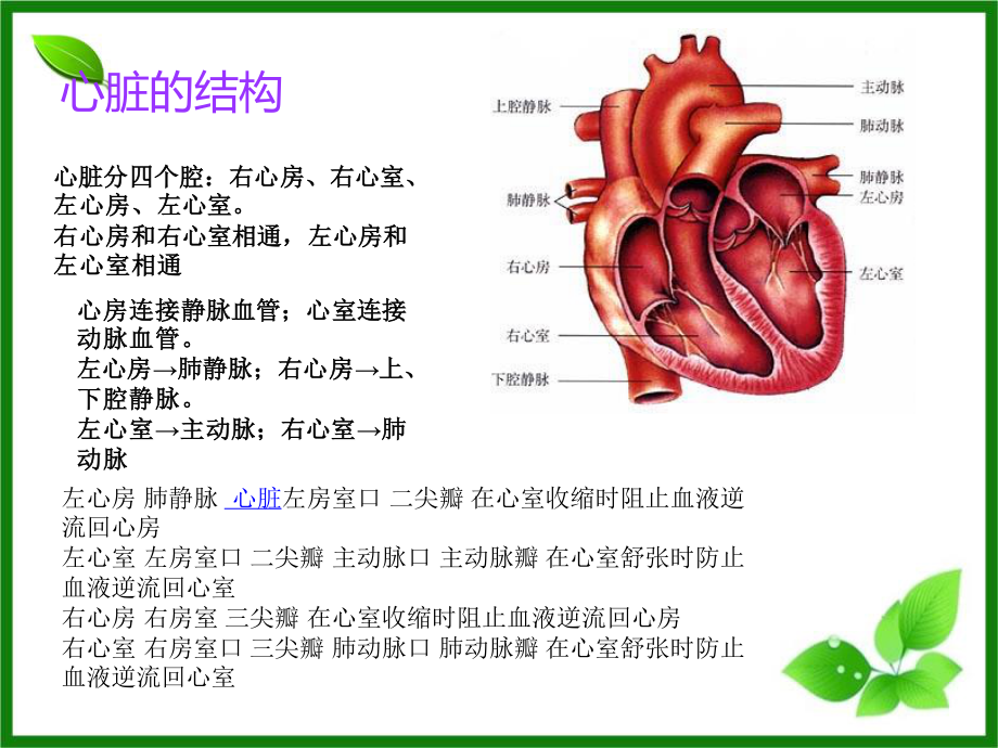 新2016心脏查体.ppt_第3页