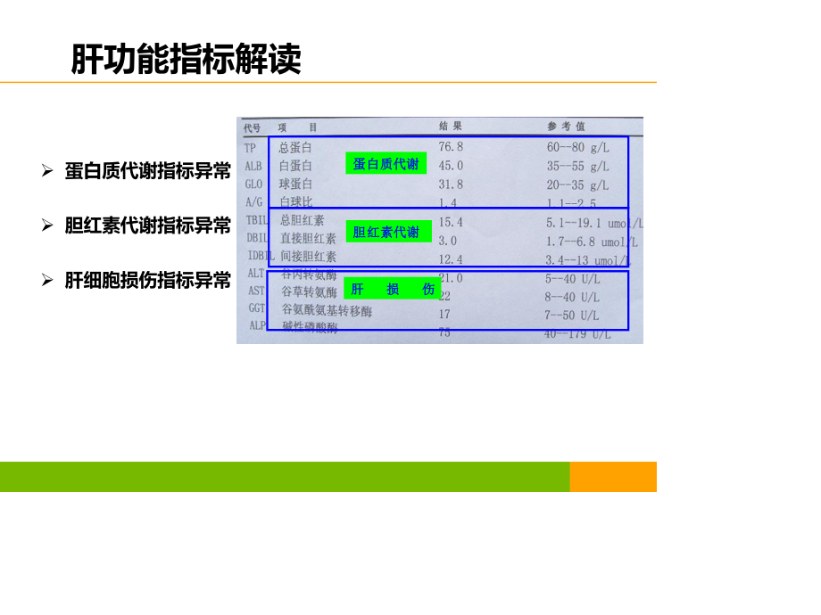 新版肝功能指标解读.pptx_第3页