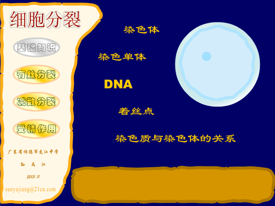 细胞有丝分裂、无丝分裂动画(下载后才可观看).ppt_第2页