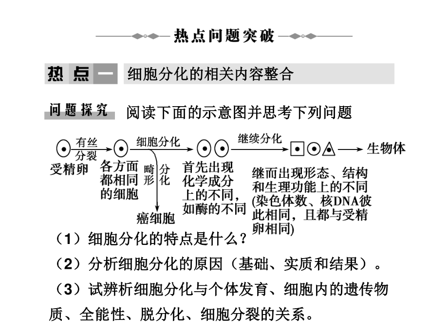 学案-细胞的分化、癌变、衰老和凋亡.ppt_第2页