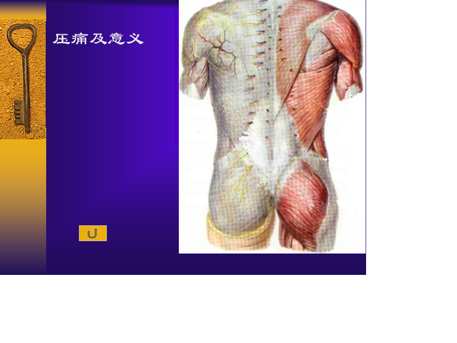 推拿学基础第三讲骨盆部检查讲义.ppt_第3页