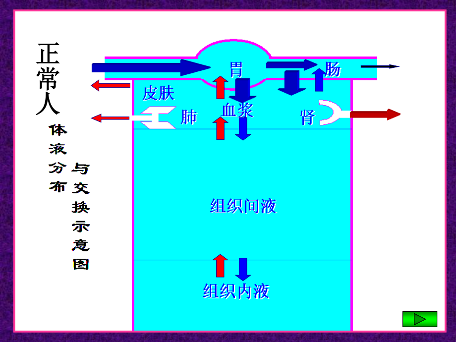 外科病人的体液失衡(一).ppt_第2页