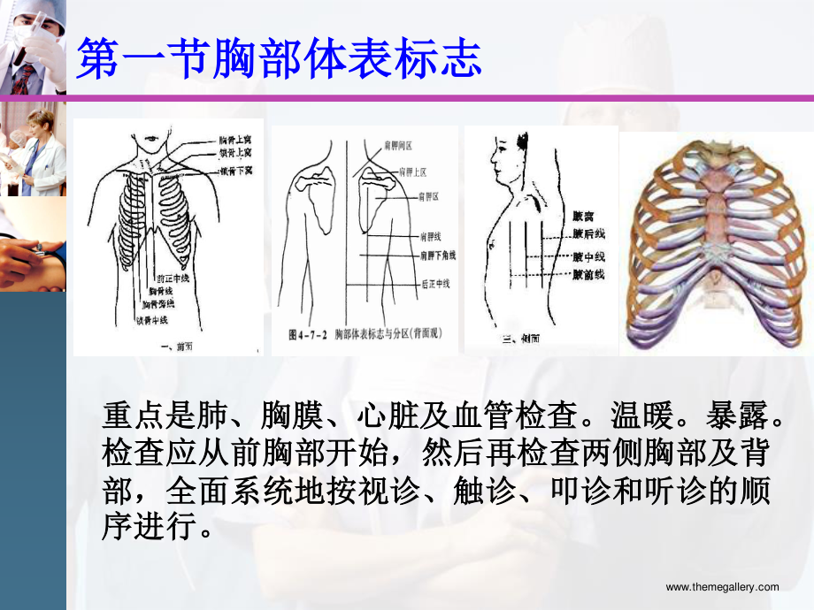 胸廓.肺部视、触诊.ppt_第2页