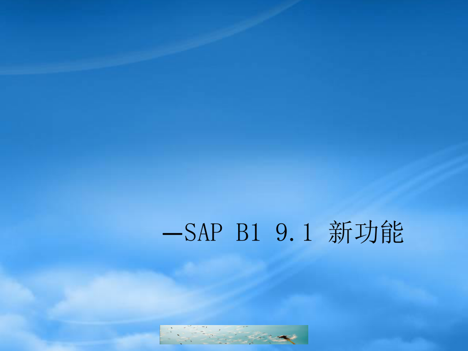 SAPB191新功能介绍.pptx_第1页