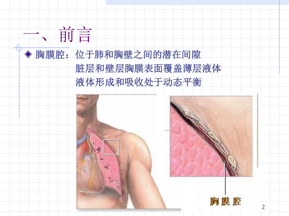 胸腔积液夏晓东-2010-2016.9.ppt_第2页