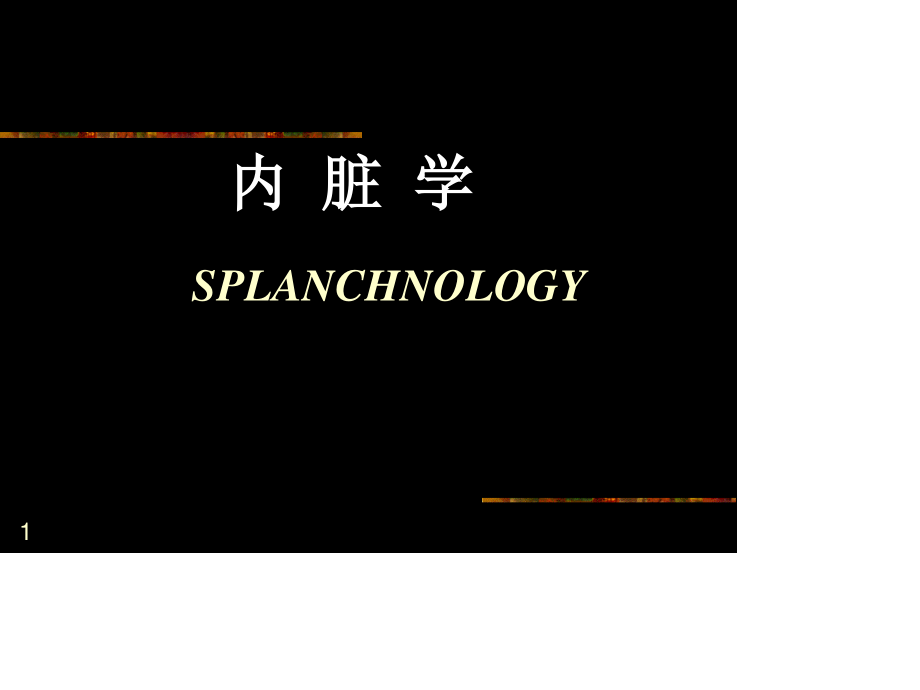 消化系统2013ppt.ppt_第1页