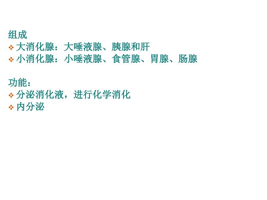 消化腺.ppt.ppt_第3页