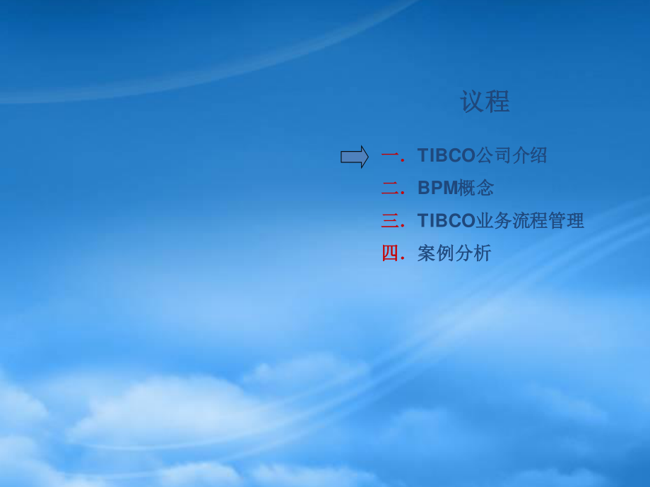 TIBCOBPM方案介绍1.pptx_第1页