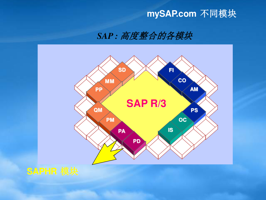 SAPHR模组功能与基础管理分析.pptx_第3页