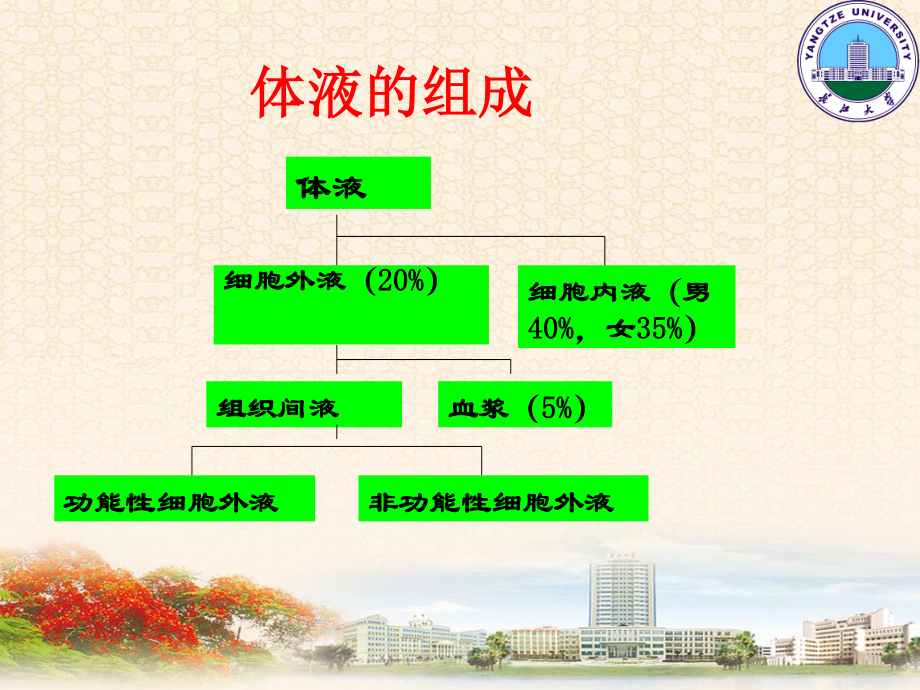 外科病人的体液失调2学时.ppt_第3页