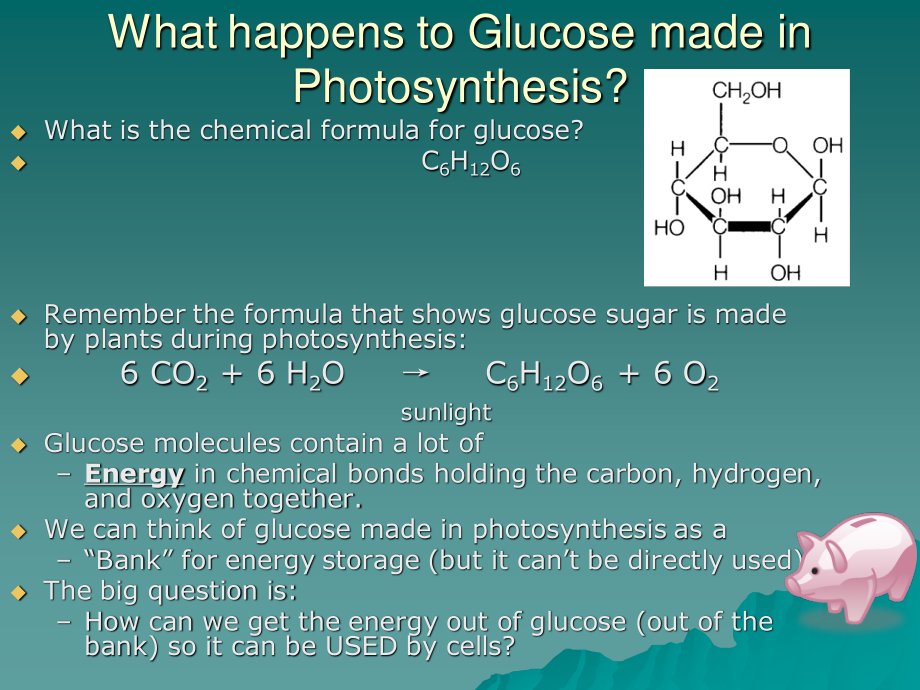 细胞的呼吸(Cellular-Respiration).ppt_第1页