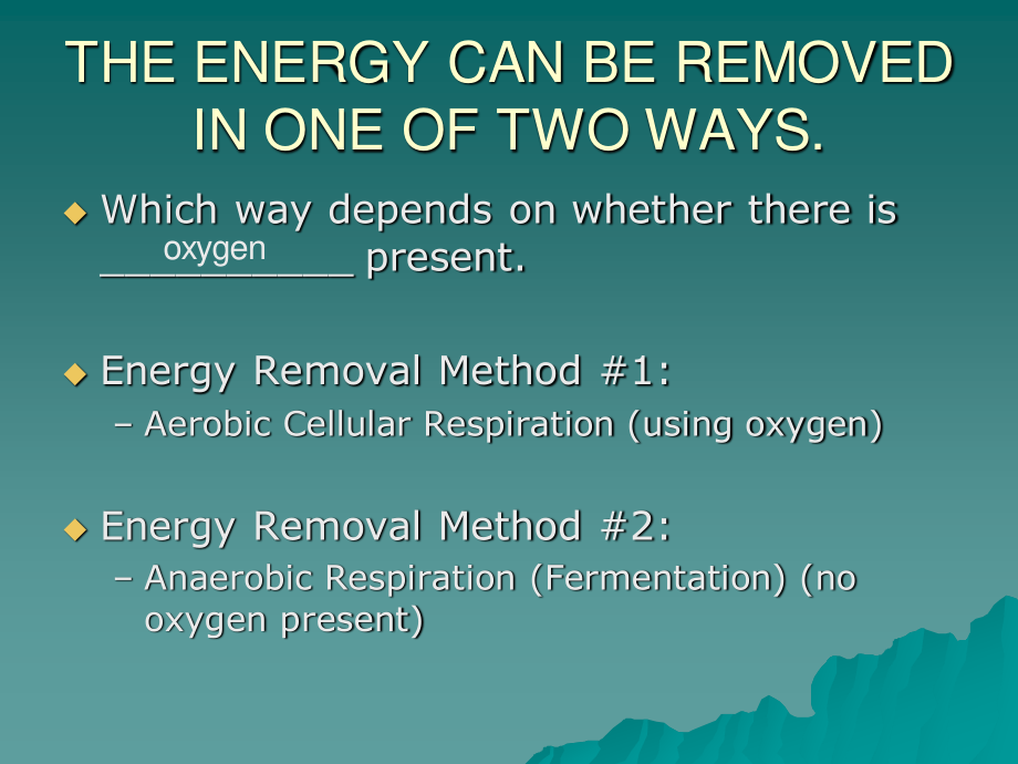 细胞的呼吸(Cellular-Respiration).ppt_第2页