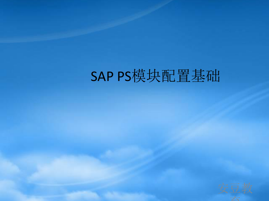 SAPPS模块配置基础知识概述.pptx_第1页