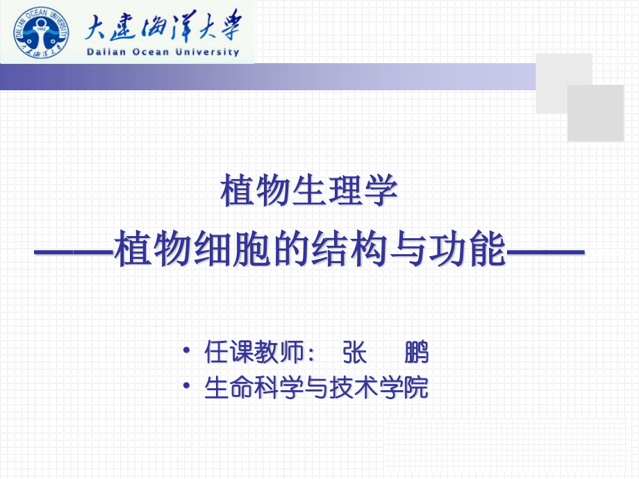 细胞壁的亚显微结构图解.ppt_第1页