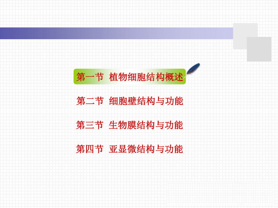 细胞壁的亚显微结构图解.ppt_第2页