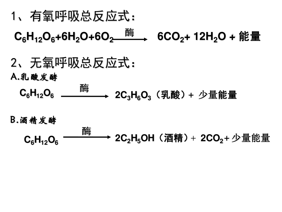 细胞呼吸及光合作用.ppt_第2页