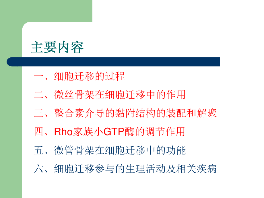 细胞迁移.ppt_第2页