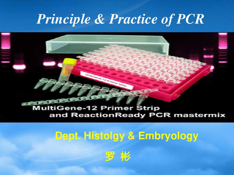 PCR-I-XXXX10-bin.pptx_第1页