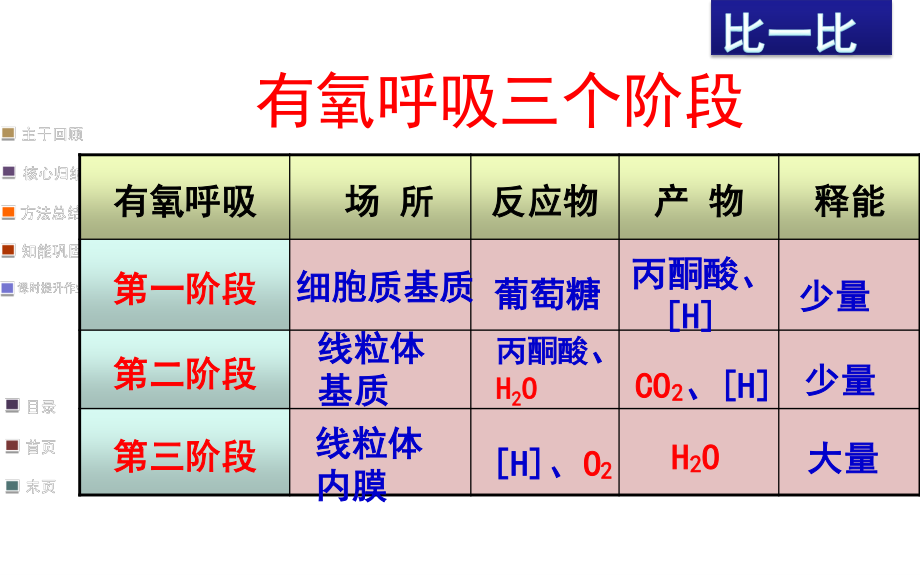 细胞呼吸适合一轮复习自己做的公开课.ppt_第2页