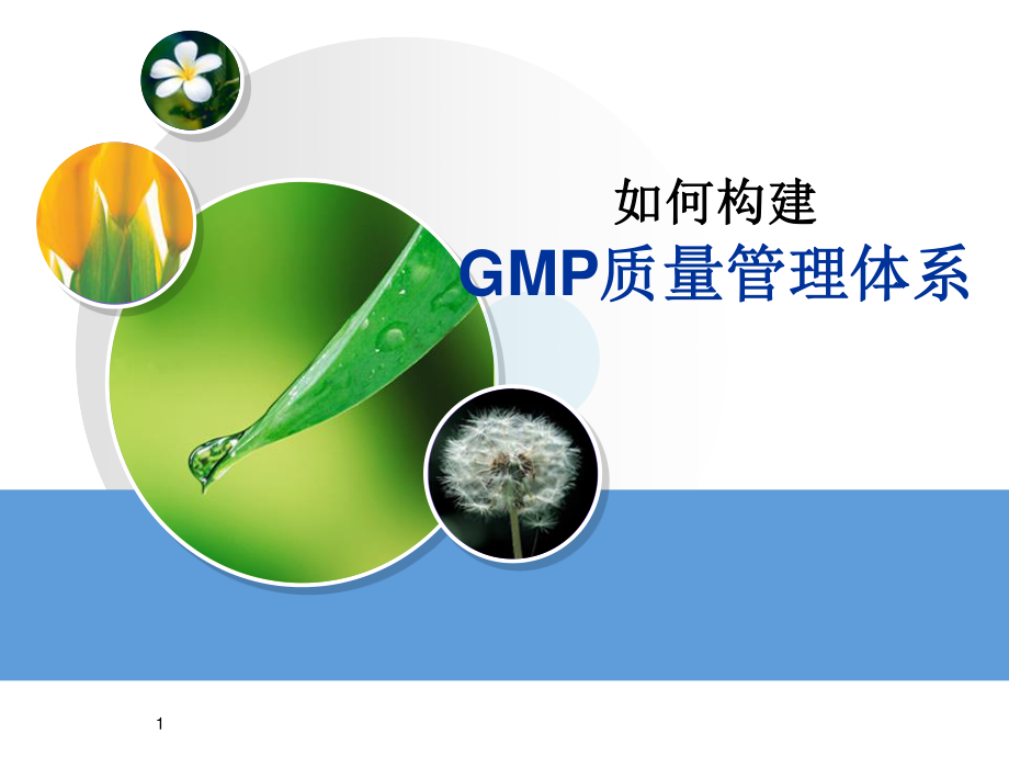 如何构建GMP质量管理体系.ppt_第1页