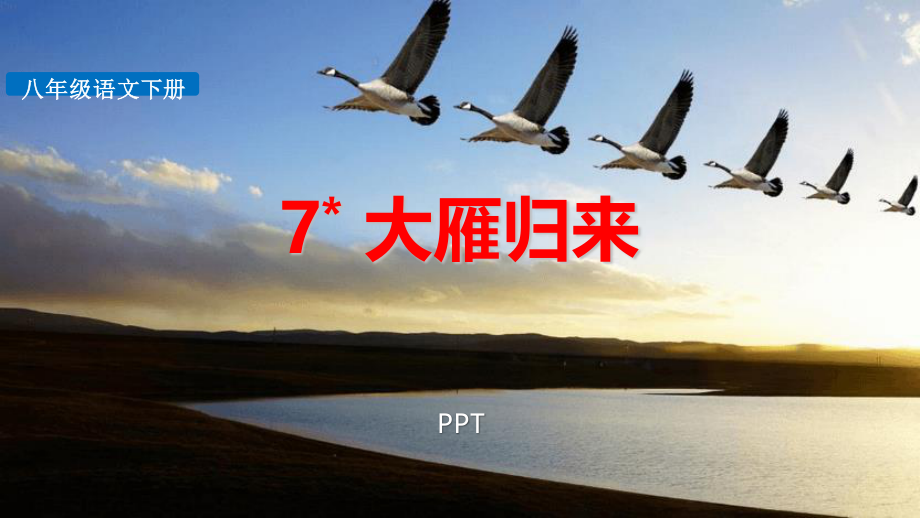 大雁归来PPT课件5.pptx_第1页