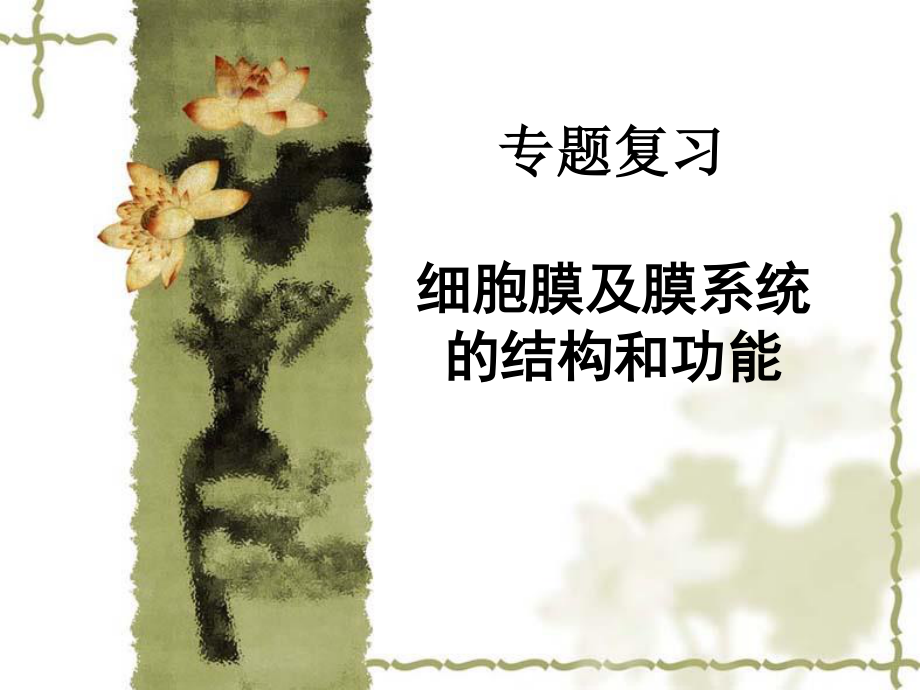 细胞膜及膜系统的结构和功能全解.ppt_第1页