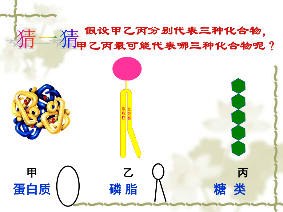 细胞膜及膜系统的结构和功能全解.ppt_第2页