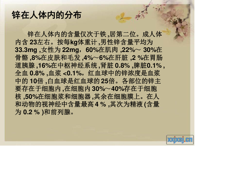 微量元素对人体的作用---锌.ppt_第2页