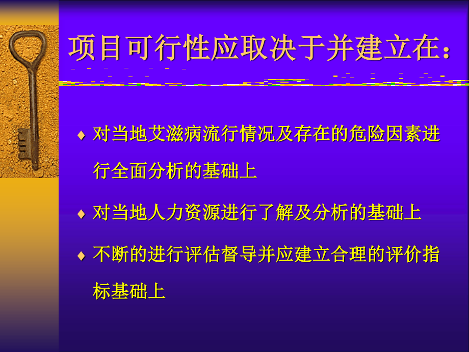 项目可行性分析——艾滋病控制项目在中国的实践.ppt_第2页