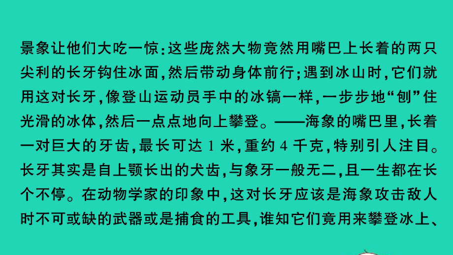 小升初语文归类冲刺专题六阅读理解专项二十三说明文阅读课件.ppt_第3页