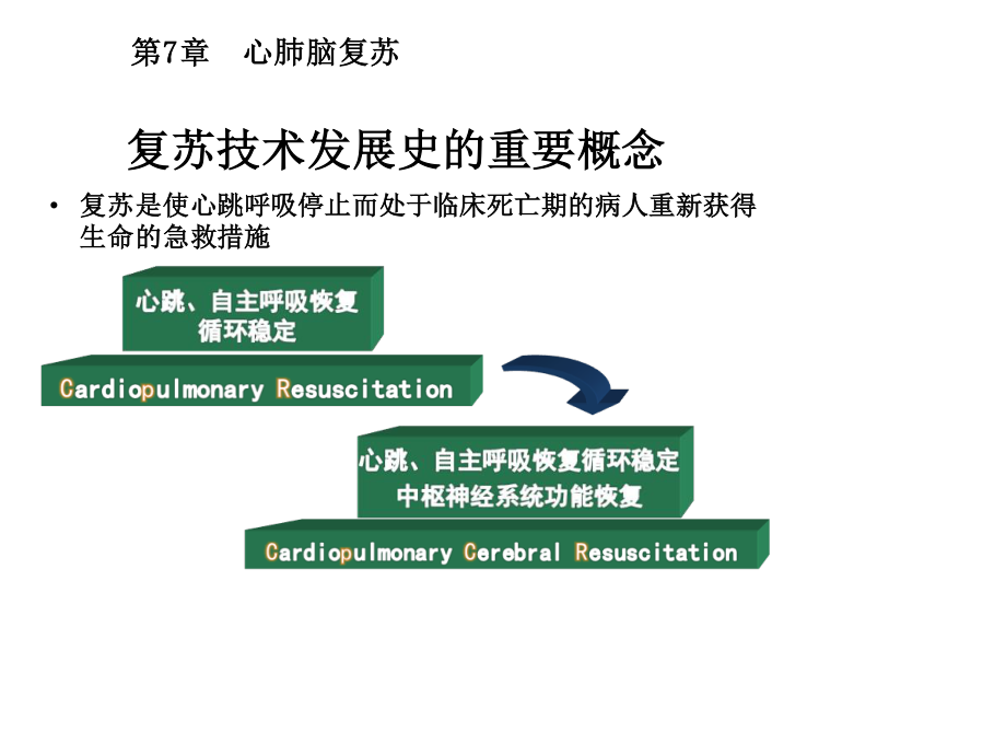 心肺脑复苏(版).pptx_第2页