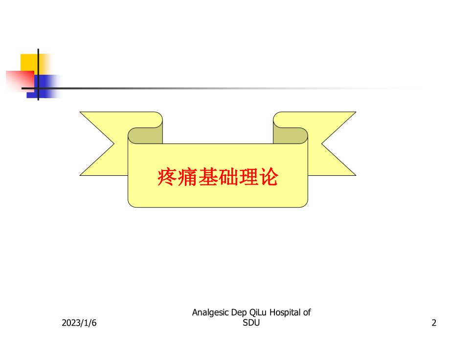 疼痛基础理论及诊疗原则.ppt_第2页