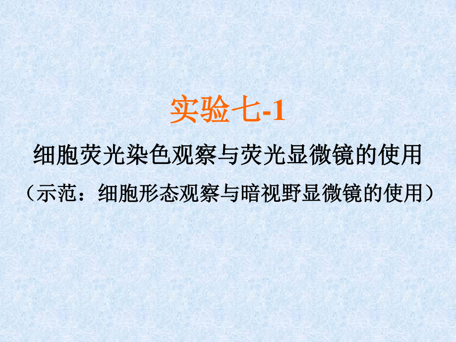 细胞荧光染色观察与.ppt_第1页