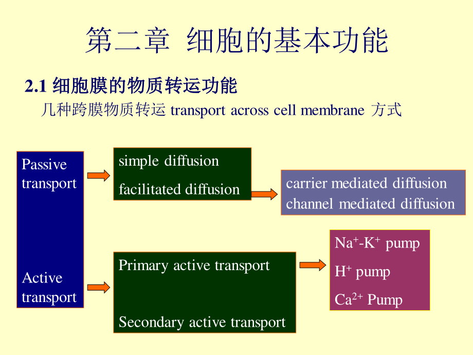 细胞的基本功能.ppt_第1页