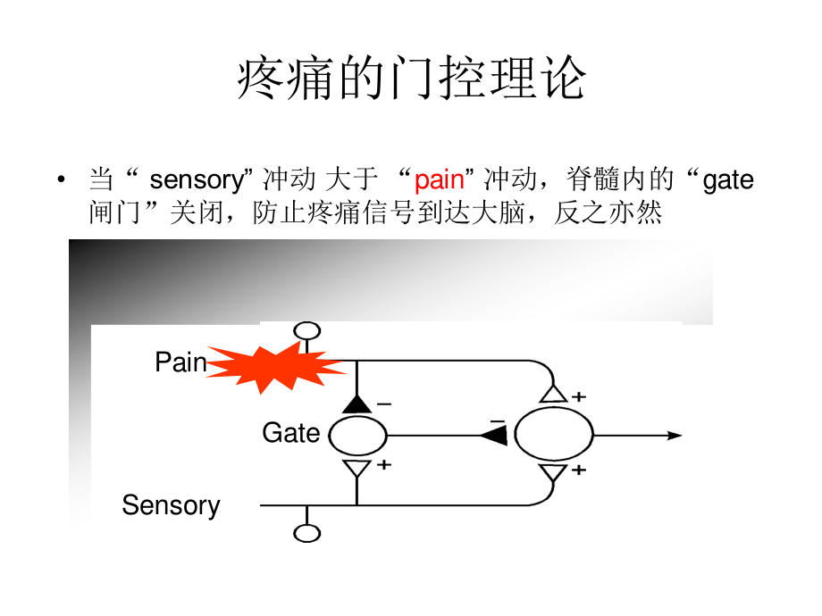 疼痛科的神经节阻滞-技术.ppt_第3页