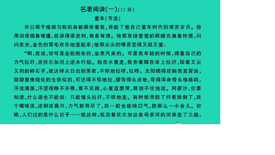 小考语文满分特训第二部分模拟冲刺名著阅读专项检测卷课件.ppt_第2页