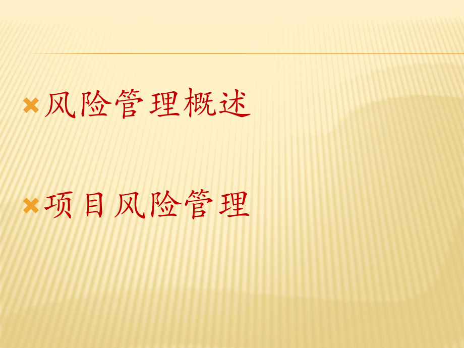 项目管理---项目风险管理.ppt_第2页