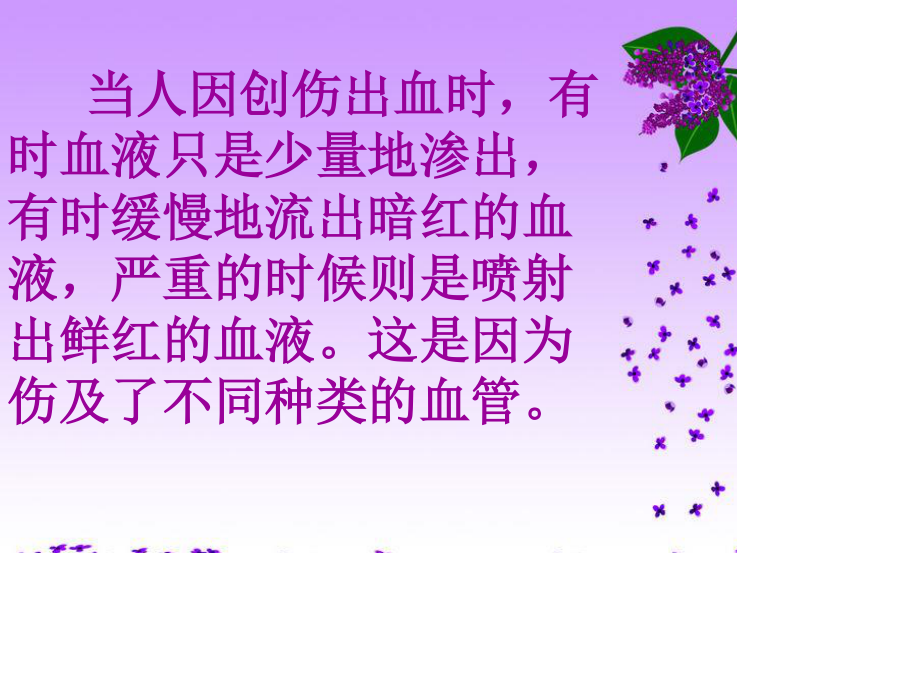 通常具有防止血液倒流的静脉瓣.ppt_第2页