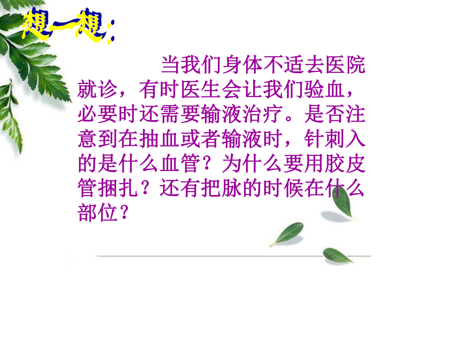 通常具有防止血液倒流的静脉瓣.ppt_第3页