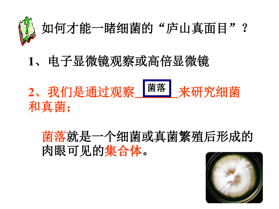 细菌和真菌的分布-(共25张ppt).ppt_第3页