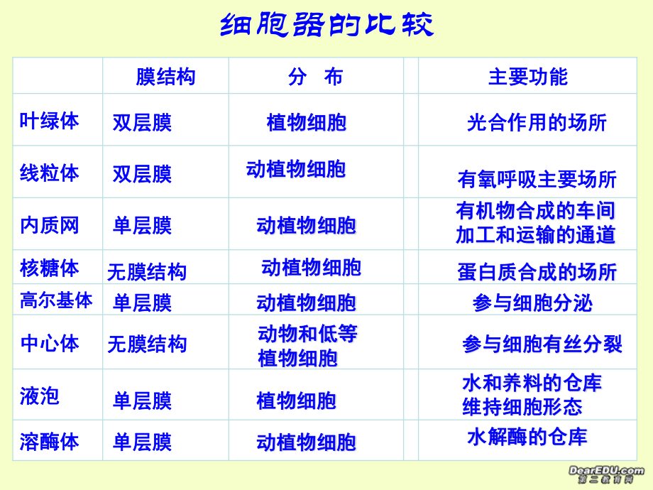 细胞器的协同合作-新课标-人教版.ppt_第2页