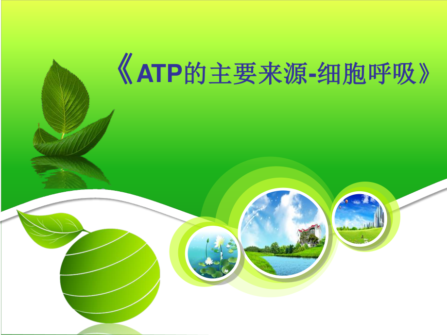 细胞呼吸说课PPT.ppt_第1页