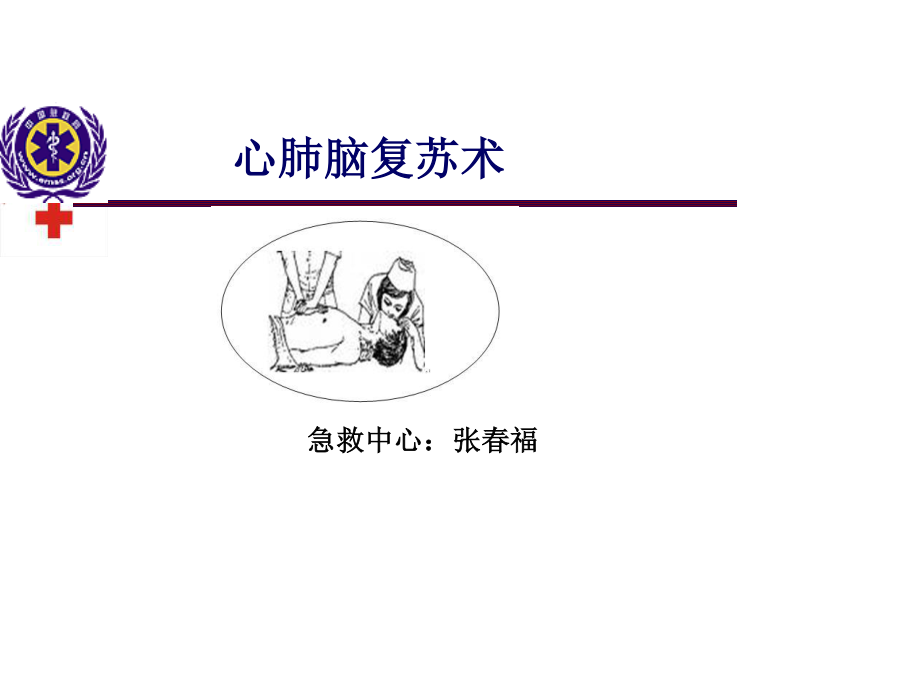 心肺脑复苏术2013.4.10.ppt_第1页