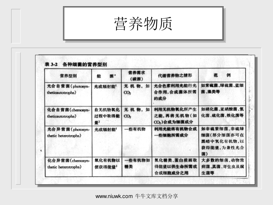 细菌的生理.pptx_第3页