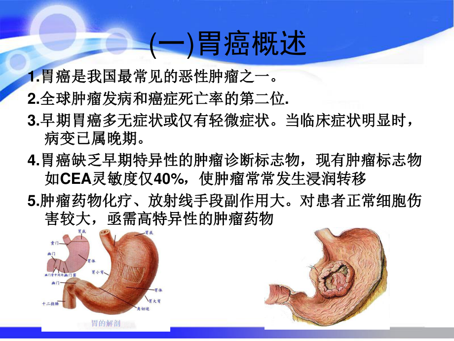 特异性微小RNA-19a抑制剂对胃癌细胞增殖影响系列.ppt_第3页